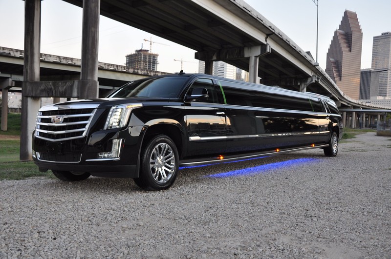 Discover Toronto at its best with Limo bus: nightlife and gastronomy